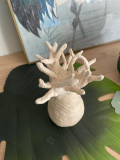 IMG-20230330-WA0002