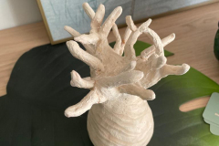 IMG-20230330-WA0002