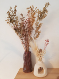 IMG-20231215-WA0001