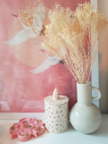 IMG-20231215-WA0002