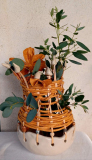IMG-20240809-WA0012