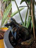 IMG-20240809-WA0015